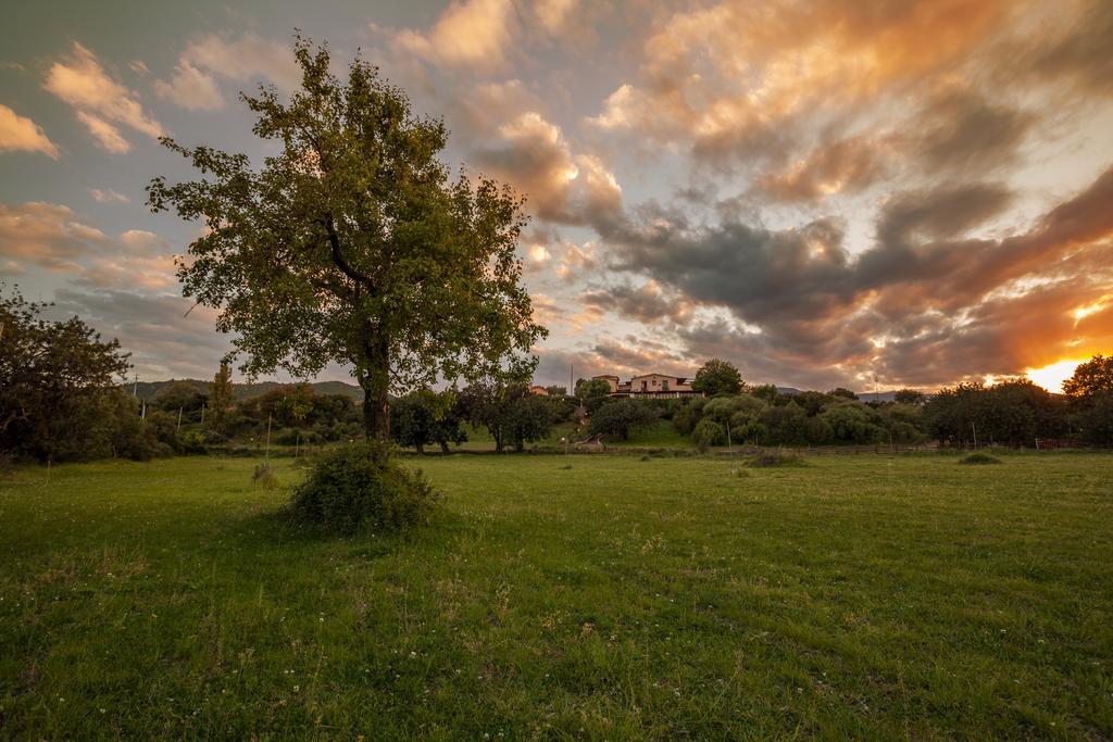 Villa I Mandorli Triei Exterior foto